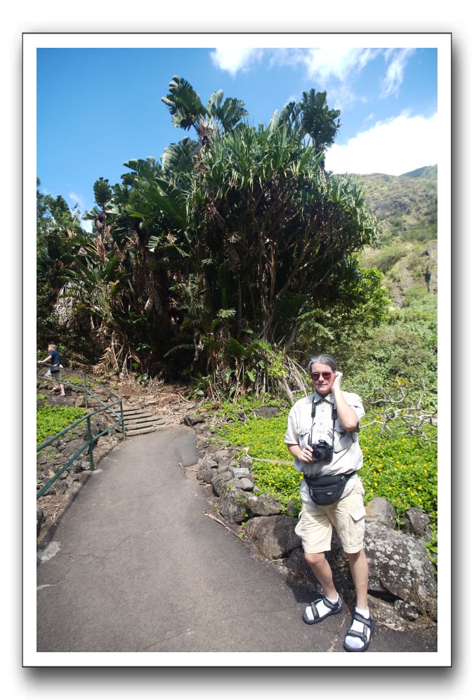 Iao-Needle-Iao-Valley-State-Park-Maui-047