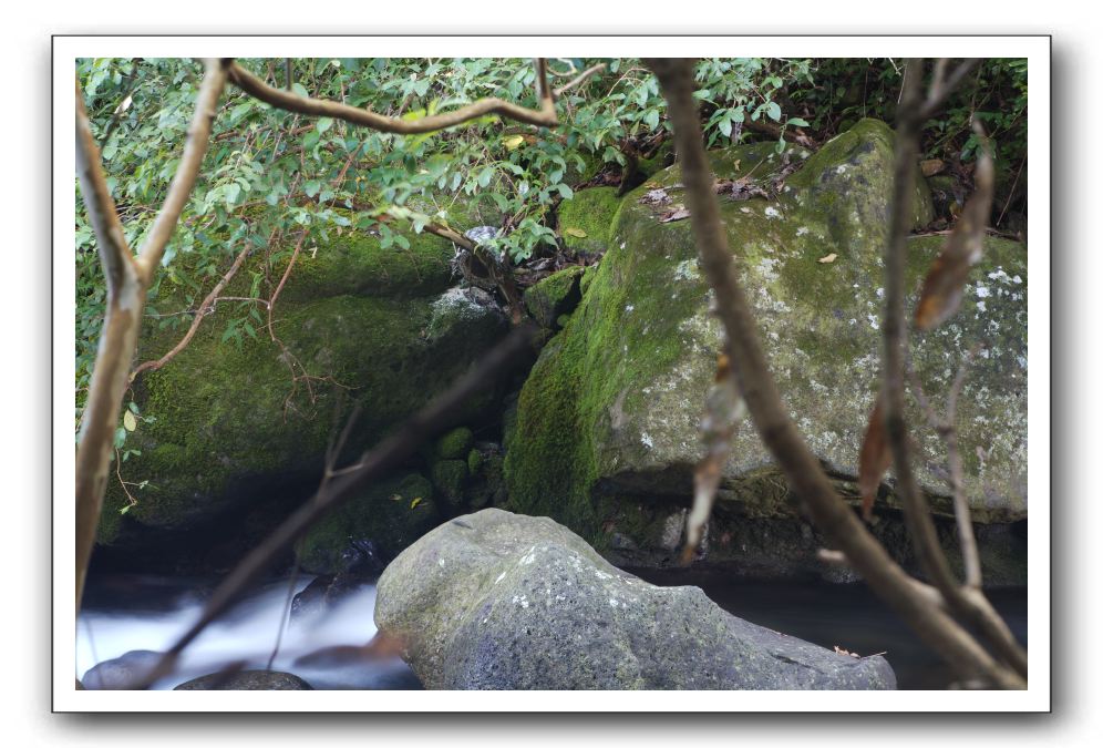 Iao-Needle-Iao-Valley-State-Park-Maui-093