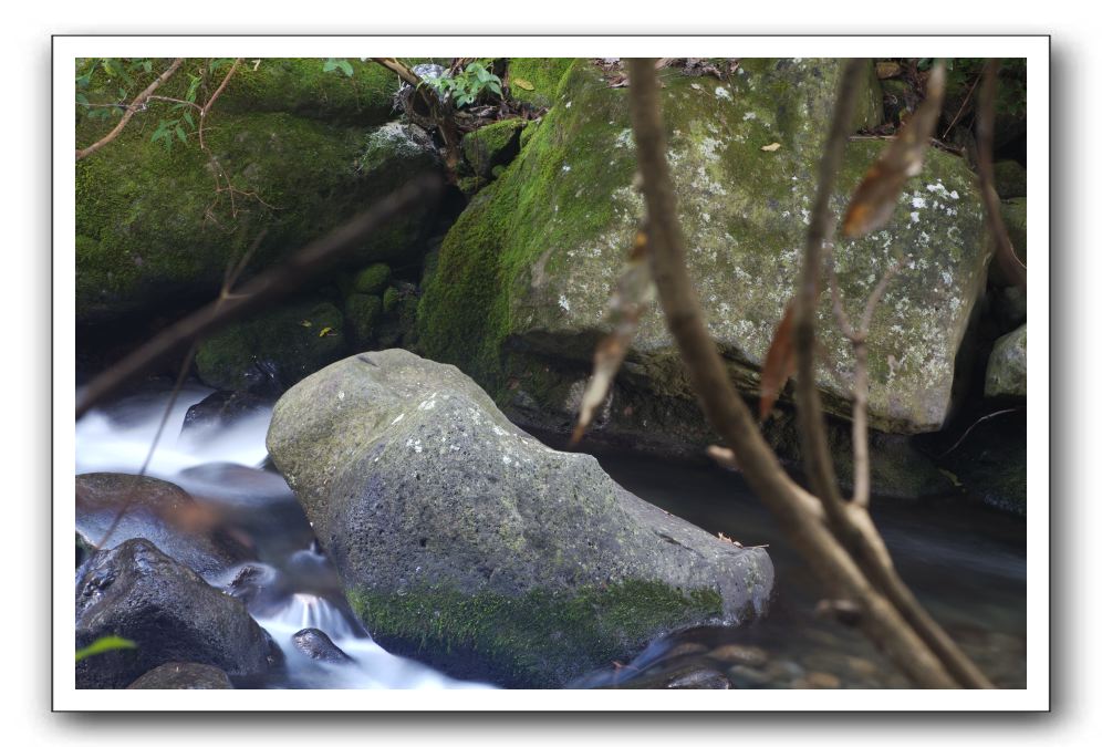 Iao-Needle-Iao-Valley-State-Park-Maui-094