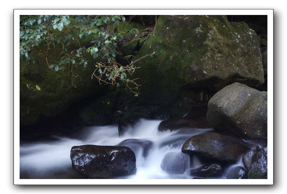 Iao-Needle-Iao-Valley-State-Park-Maui-095