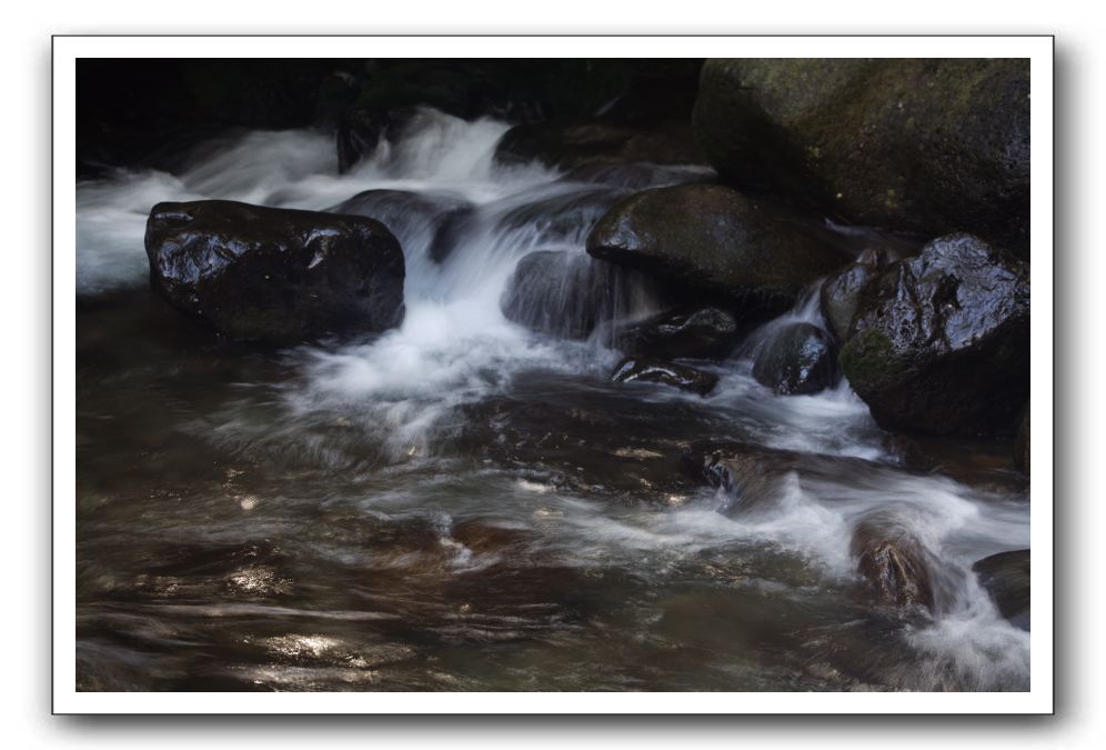 Iao-Needle-Iao-Valley-State-Park-Maui-099