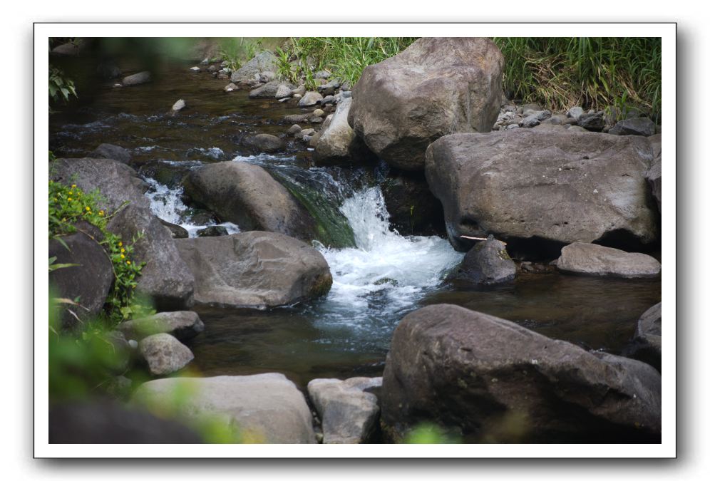 Iao-Needle-Iao-Valley-State-Park-Maui-113