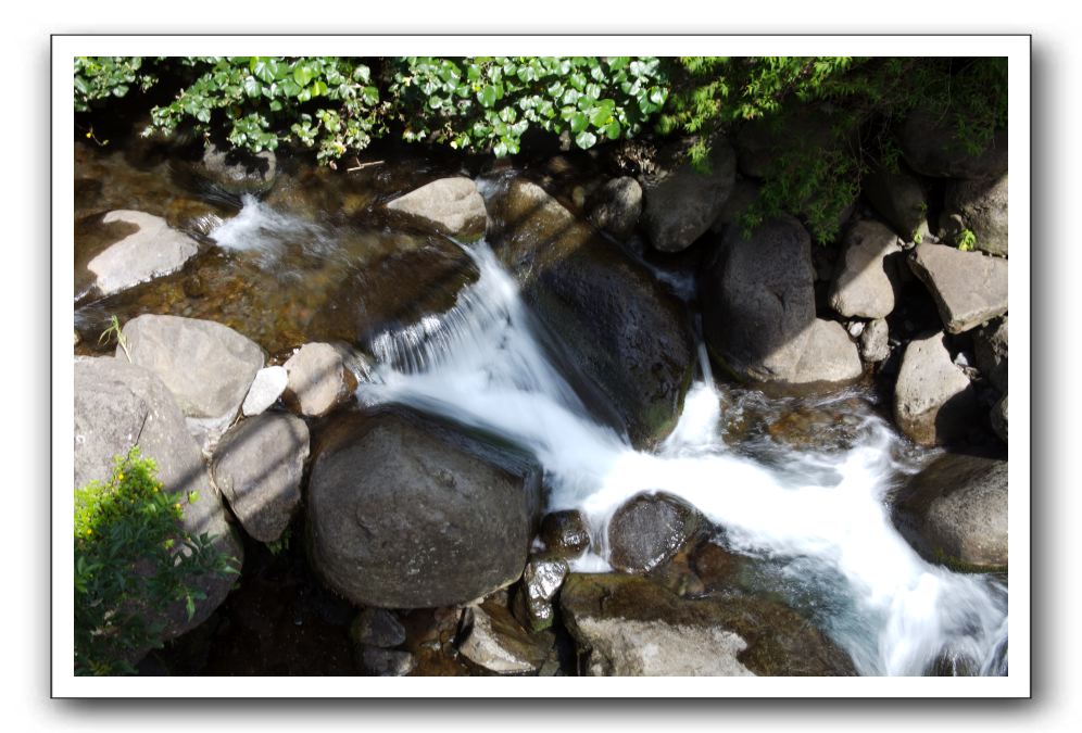 Iao-Needle-Iao-Valley-State-Park-Maui-014