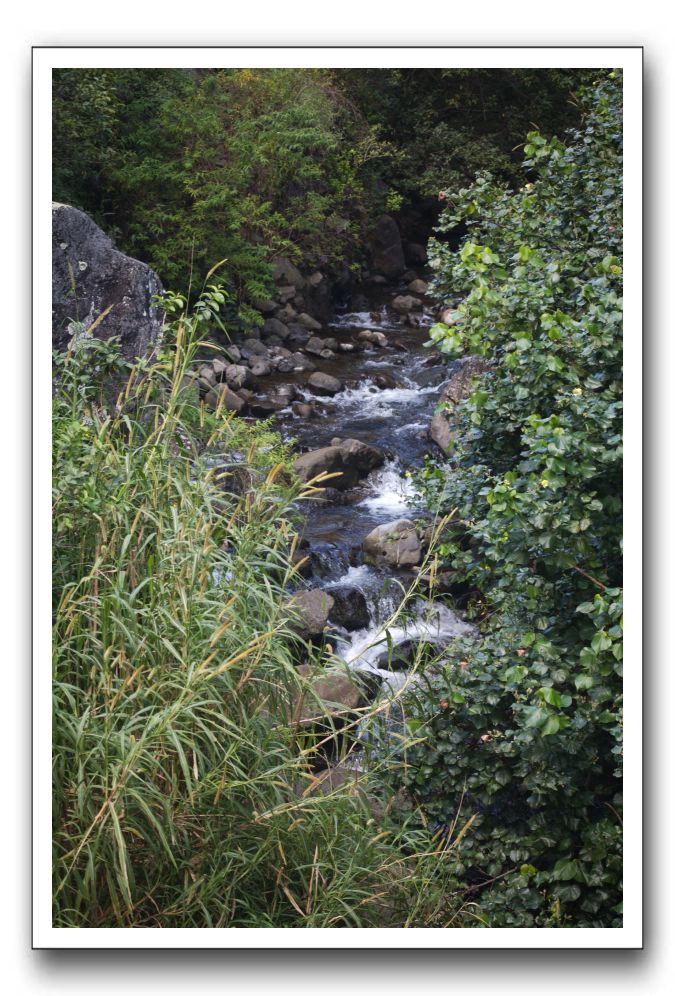 Iao-Needle-Iao-Valley-State-Park-Maui-127