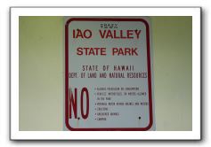 Iao-Needle-Iao-Valley-State-Park-Maui-003