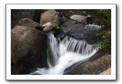 Iao-Needle-Iao-Valley-State-Park-Maui-141