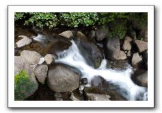 Iao-Needle-Iao-Valley-State-Park-Maui-016