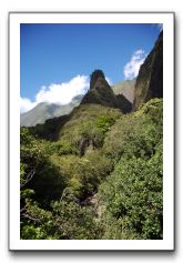 Iao-Needle-Iao-Valley-State-Park-Maui-020