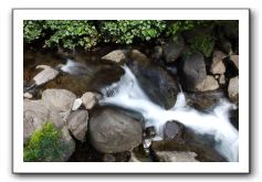 Iao-Needle-Iao-Valley-State-Park-Maui-022