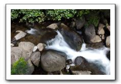 Iao-Needle-Iao-Valley-State-Park-Maui-023