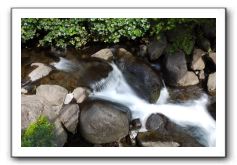 Iao-Needle-Iao-Valley-State-Park-Maui-026