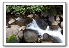 Iao-Needle-Iao-Valley-State-Park-Maui-027