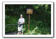 Iao-Needle-Iao-Valley-State-Park-Maui-032