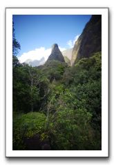 Iao-Needle-Iao-Valley-State-Park-Maui-035