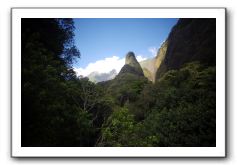 Iao-Needle-Iao-Valley-State-Park-Maui-037