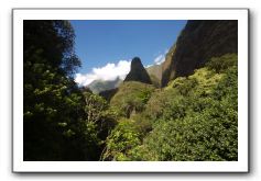 Iao-Needle-Iao-Valley-State-Park-Maui-042