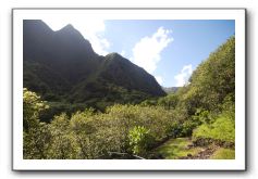 Iao-Needle-Iao-Valley-State-Park-Maui-045