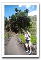 Iao-Needle-Iao-Valley-State-Park-Maui-047