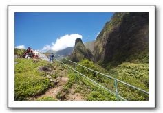 Iao-Needle-Iao-Valley-State-Park-Maui-052