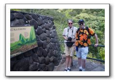 Iao-Needle-Iao-Valley-State-Park-Maui-056