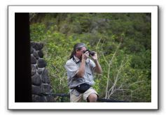 Iao-Needle-Iao-Valley-State-Park-Maui-065