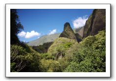 Iao-Needle-Iao-Valley-State-Park-Maui-010