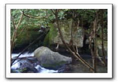 Iao-Needle-Iao-Valley-State-Park-Maui-092