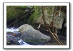 Iao-Needle-Iao-Valley-State-Park-Maui-094