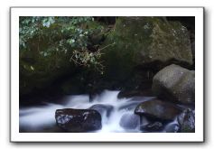 Iao-Needle-Iao-Valley-State-Park-Maui-095