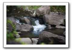 Iao-Needle-Iao-Valley-State-Park-Maui-113