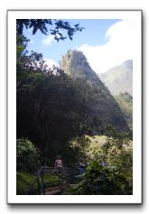 Iao-Needle-Iao-Valley-State-Park-Maui-123