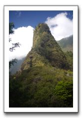 Iao-Needle-Iao-Valley-State-Park-Maui-124