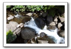 Iao-Needle-Iao-Valley-State-Park-Maui-014