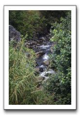 Iao-Needle-Iao-Valley-State-Park-Maui-127