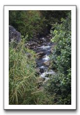 Iao-Needle-Iao-Valley-State-Park-Maui-128