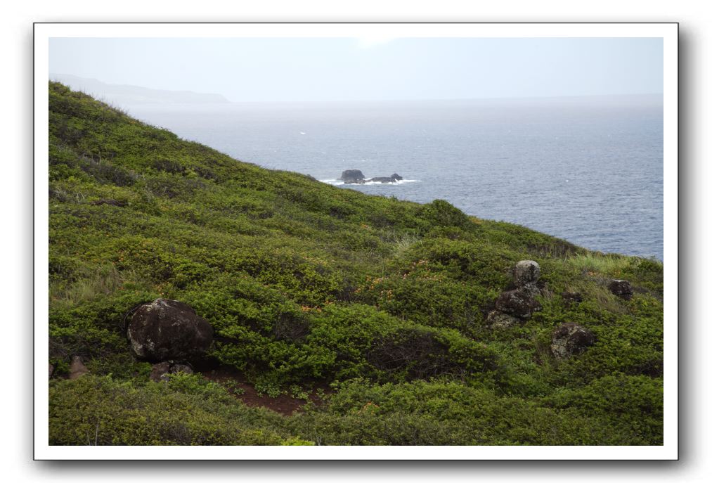 West-Maui-Rural-Coastline-29