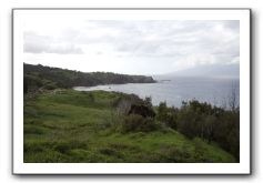 West-Maui-Rural-Coastline-22