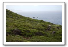 West-Maui-Rural-Coastline-29