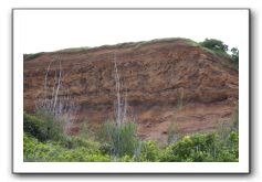 West-Maui-Rural-Coastline-32