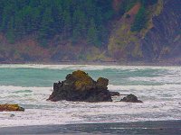 Oregon-Coast-and-Redwoods-007