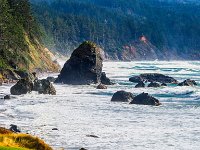 Oregon-Coast-and-Redwoods-009