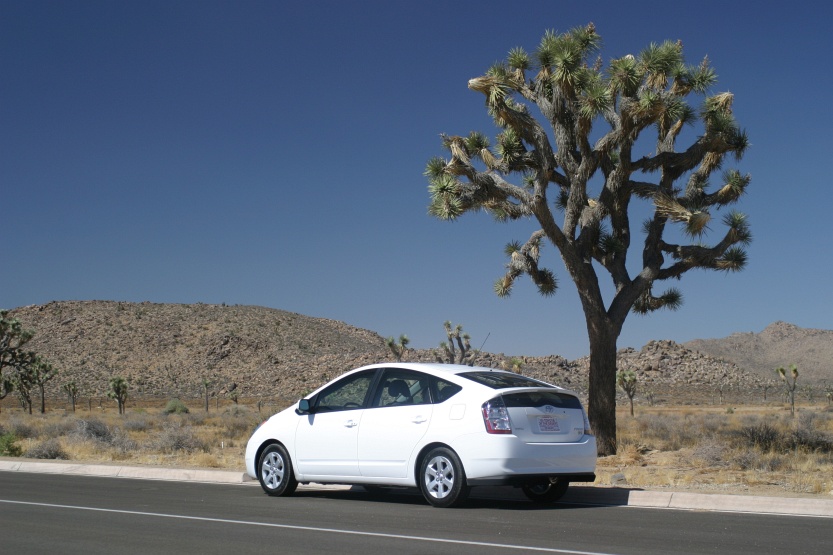 Prius-Joshua-Tree-0263.JPG