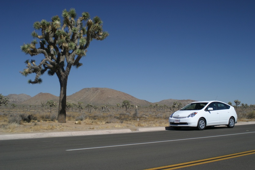 Prius-Joshua-Tree-0294.JPG