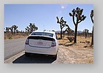 Prius-Joshua-Tree-0099.JPG