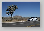 Prius-Joshua-Tree-0289.JPG