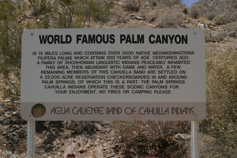 PalmCanyon-001.JPG