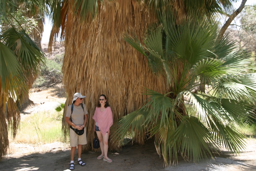 PalmCanyon-017.JPG