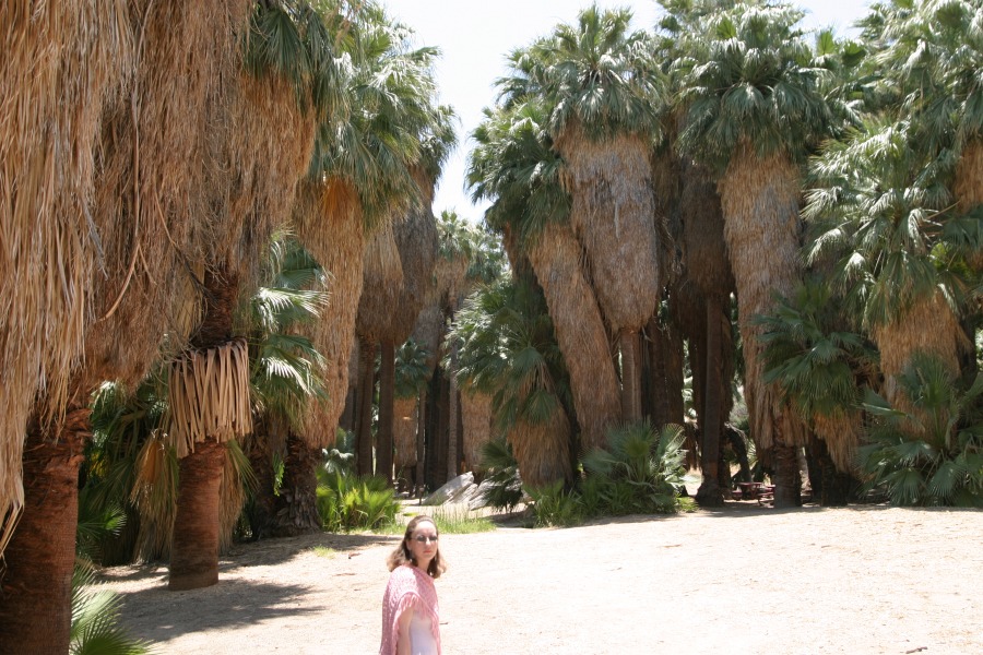 PalmCanyon-027.JPG