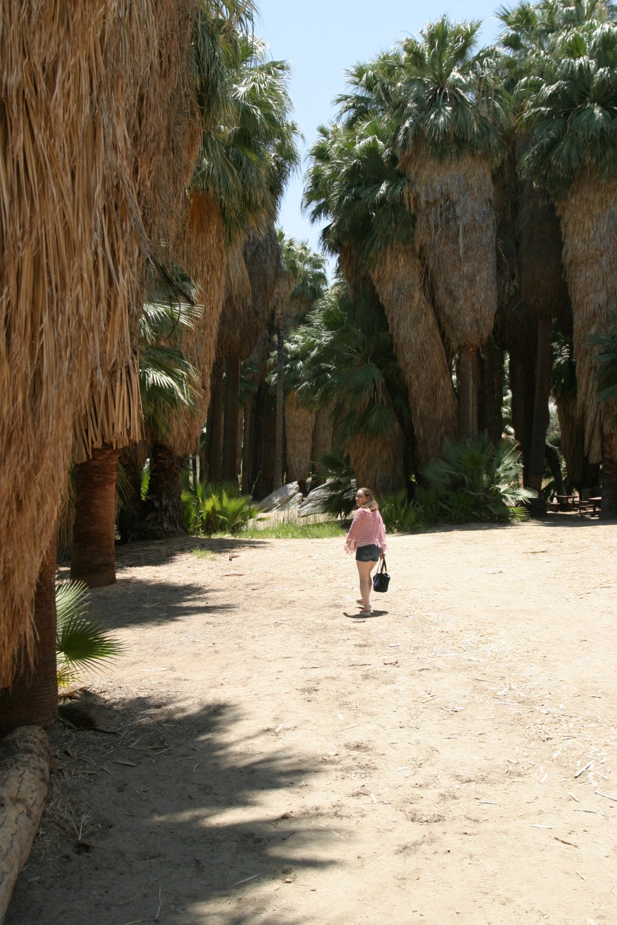 PalmCanyon-028.JPG