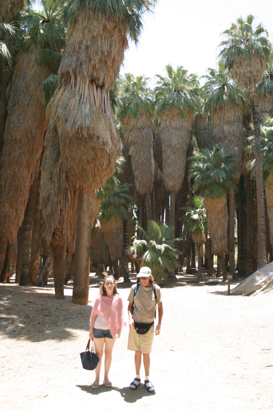 PalmCanyon-031.JPG